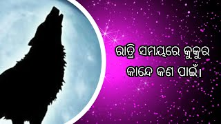 Odia Rahasya (ରାତ୍ରି ସମୟରେ କୁକୁର ମାନେ କାହିଁକି ଭୁକନ୍ତି ଜାଣନ୍ତୁ ଏହାର ରହସ୍ୟ )