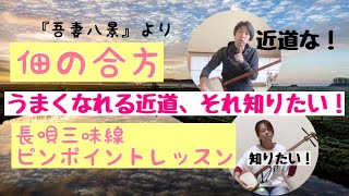 『佃の合方』うまくなる近道、ありますか？－吾妻八景より－【長唄三味線 ピンポイントレッスン】