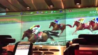 【スタホ2】 2013  ドバイワールドカップ 　Dubai World Cup