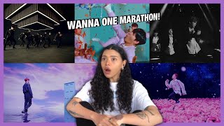 FIRST TIME REACTING TO Wanna One! Spring Breeze/Light/BOOMERANG/I.P.U/Burn It Up MV | REACTION!!