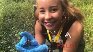 Grade K Blanding's Turtle Video- Turtle Trackers