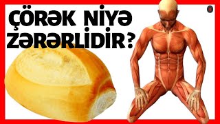 Günümüzdə Çörəklər Niyə Zərərlidir? Niyə Çörək Yeməməliyik?