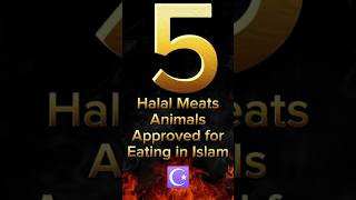 Halal Animal Meat In Islam ☪️ | Halal Food in Islam #allah #halal #halalfood #islamicshorts