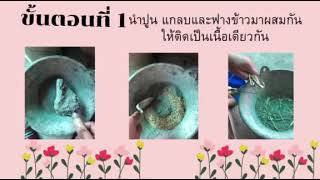 โครงการ กระถางต้นไม้จากแกลบและฟางข้าว By.จันทิมา \u0026นภาพร