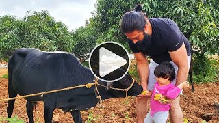 ನಟ ಯಶ್ ಅವರ ಹಾಸನದ ಸುಂದರ ತೋಟ | Actor Yash Agriculture Land and Farmhouse in Hassan | chandanavana