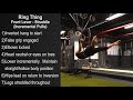 Ring Thing (Front Lever - Straddle (Incremental Pulls))