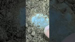 AB knoflík s klasickým motivem kytice #metaldetecting #metaldetector #metaldetektor