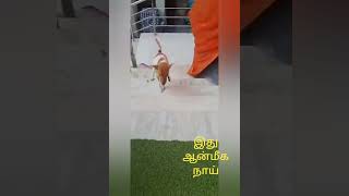 அரசியலும் ஆன்மீகமும்