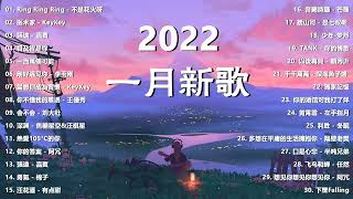 Top 30 Chinese Pop Song In Tik Tok 2022 抖音 Dou...