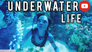 underwater life in hindi🐟/Underwater World 4K 🐬 | Marine Life |underwater life drawing easy🐋🐳