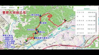 2024/2/24 尋找鶯歌16顆大榕樹意難平之旅