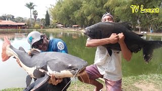 TV LOUCOS 42 - RECANTO DOS GIGANTES (ANTIGO PESQUEIRO LAGO AZUL)