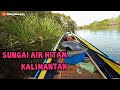 Mancing ikan lais di sungai air hitam kalimantan