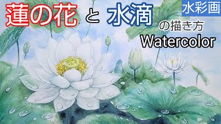 Watercolor / How to paint lotus flower and water droplets with transparent watercolor/for beginners