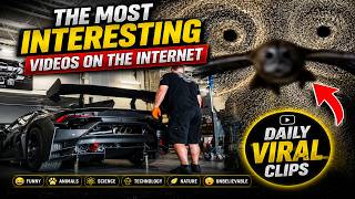 The Most Interesting Videos on the Internet 😱 Unbelievable Viral Moments!