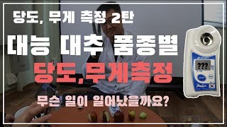 대능대추 품종별 무게 및 당도 측정