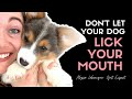 Why you shouldn't let your dog lick your mouth