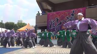 彩夏祭'19 超熱いぜ!!関八連劇場 朝霞高校 若欅 - 想い貫き 今ここに