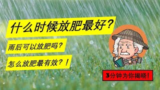 雨后 放不放肥？怎么放肥以 避免养分流失 提高施肥效率? [3分钟带你了解 最佳放肥时机 ！】