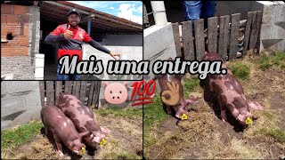 Hoje entregamos duas pietain PO ao nosso amigo Douglas. 🐷🧬💯