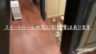 【ペットホテル】スーペリアルーム