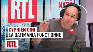 La Datimania par Cyprien Cini