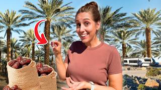 FARMING in the Arizona Desert?! (RV Life in Yuma)
