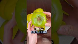 태추단감 이렇게 고르세요🍐