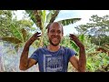 Search for Water, Renovating Kitchen -  Gatazul Off Grid   Journey to Self-Sufficiency