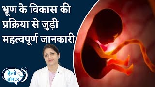 Embryonic Development: जानें भ्रूण के विकास की प्रक्रिया से जुड़ी महत्वपूर्ण जानकारी | NBT Life