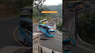 ROMBONGAN BUS ASYROF FULL BASURI VERSI TERBARU DAV #asyrof #teloletviral #busmania #shorts #bussid