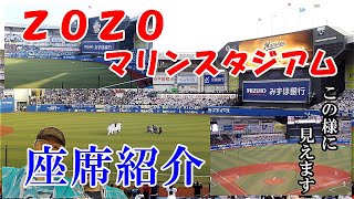 【千葉ロッテマリーンズ】ＺＯＺＯマリンスタジアムの座席を紹介