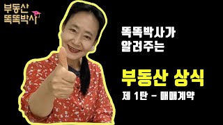 [왕초보도 알기 쉬운 부동산 상식] 매매계약편