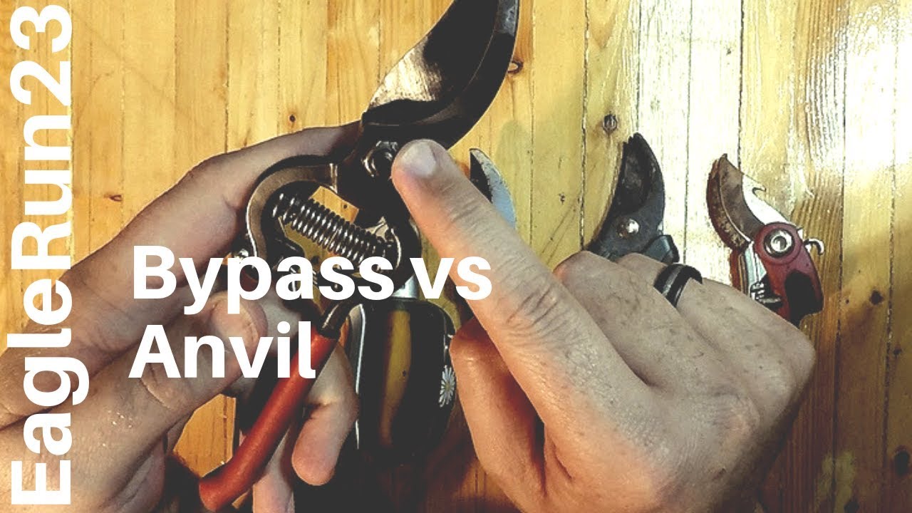 Pruner Types: Anvil Vs Bypass - YouTube