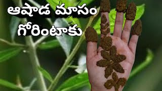 ఆషాడమాసం గోరింటాకు  #Gorintaku simple design#collectivevlogs