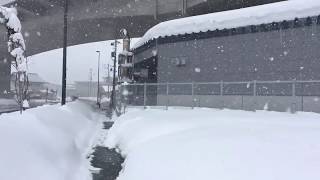 ウェザーリポート動画0126@長野県飯山市 12:15「降り続ける雪」