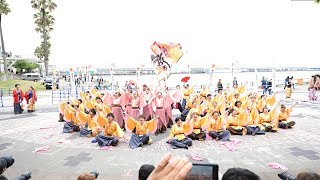 [4K] 大阪市立大学チーム 朱蘭『想酔』大阪ベイエリア祭 wolrdあぽろん2019