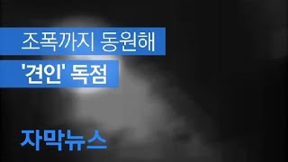 [자막뉴스] 선착순보다 주먹…사고차량 싹쓸이한 견인·렌터카 업체 / KBS뉴스(News)