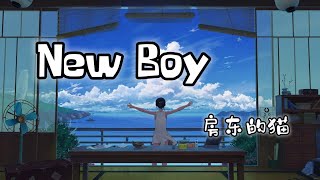 New Boy - 房东的猫『是的我看见到处是阳光 快乐在城市上空飘扬』动态歌词