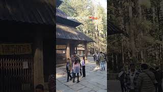 Hidimba temple manali 🛕 🪔🌺 #shortsfeed #hidimbadevitemple #manali #shorts #yt #reels