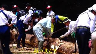 熊野神社小宮祭　御柱伐採　木造りダイジェスト