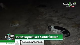 หมาจรจัดรุมขย้ำ ด.ช.5ขวบ เจ็บสาหัส | 21-02-62 | ข่าวเที่ยงไทยรัฐ