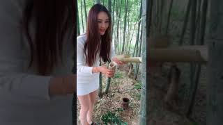 竹酒接龙 Bamboo wine.