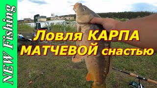 Лучшая Рыбалка Года! Пулеметный клев КАРПА на МАТЧЕВЫЕ удочки!