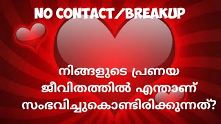 നിങ്ങളുടെ പ്രണയ ജീവിതത്തിൽ എന്താണ് സംഭവിച്ചുകൊണ്ടിരിക്കുന്നത്?|555 ANGEL TAROT LOVE READING