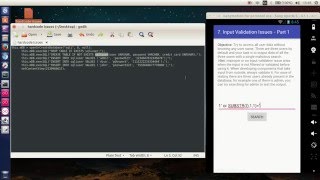 diva - Input validation issues - Part 1