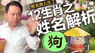 【狗】十二生肖之姓名解析｜姓名與人生｜全球風水易經姓名學大師張定瑋