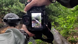 Pov Photographing These Waterfalls Will Take Your Breath Away