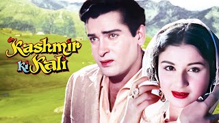 कश्मीर की कली (1964) | Shammi Kapoor & Sharmila Tagore Romantic Film | KASHMIR KI KALI | Pran
