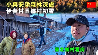 探秘小兴安岭深处，伊春市偏远乡村，8万元买一套院子，夏天避暑过田园生活？几乎家家户户空房子，冬天酷寒，烧炕烧火墙取暖不容易，但林区深处有神泉，居民进山排队等水【阿树闯东北】EP26